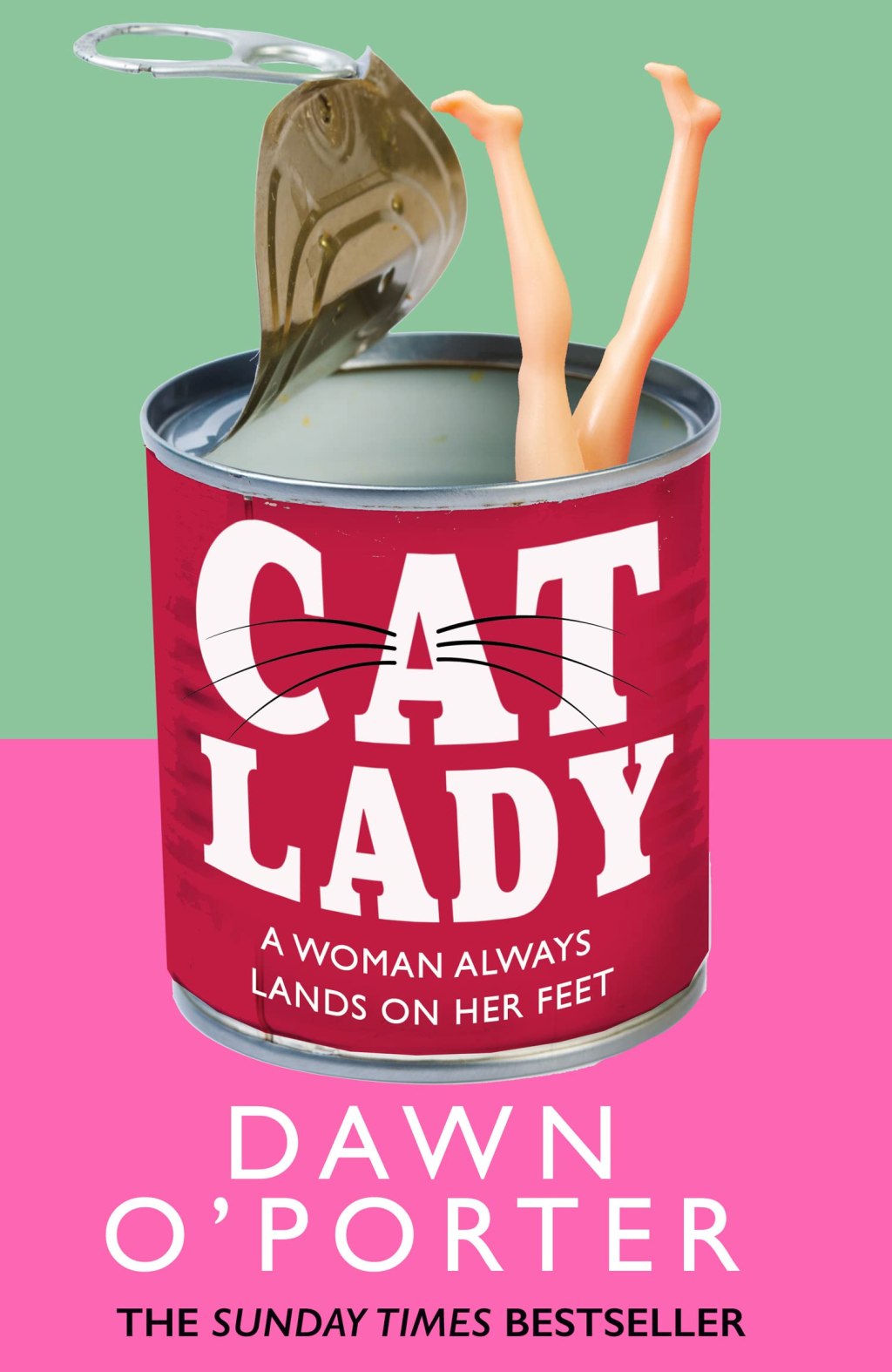 Cat Lady by Dawn O’Porter @DawnOPorter @hotpatooties @RandomTTours @HarperCollinsUK @fictionpubteam #CatLady #AD #gifted #BookTwitter