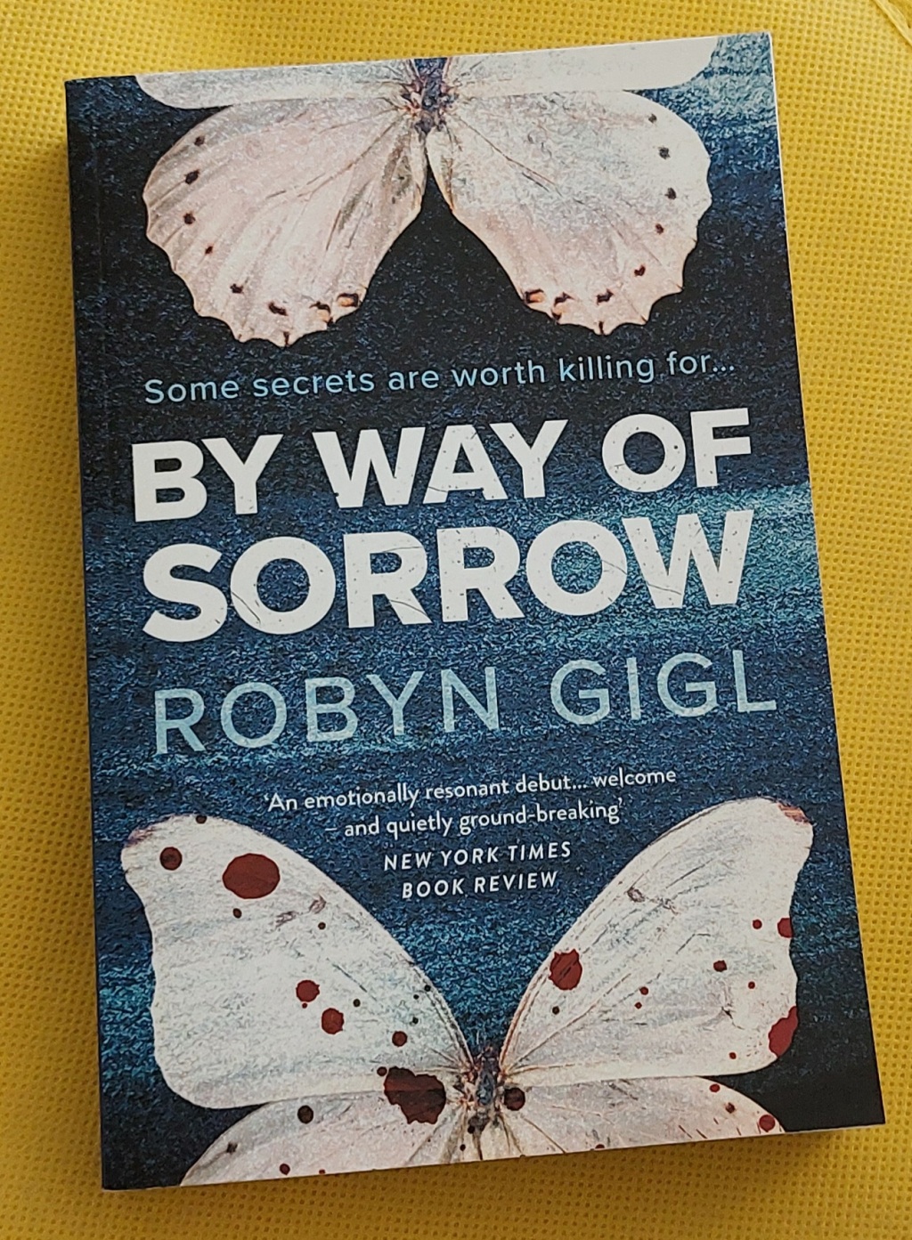 By Way of Sorrow by Robyn Gigl @robyngigl @VERVE_Books #BookTwitter #Blogtour #AD-PRProduct #bookreview